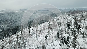Mountain landscape, carpatian mountains, winter photo