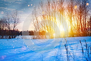 Snowy winter Christmas Landscape; sunset over the snow meadow