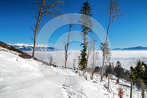 Snowy winter country and Western Tatras at background, Slovakia