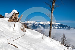 Snowy winter country and Western Tatras at background, Slovakia