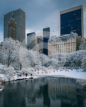 A snowy winter day at The Pond, in Central Park, New York City