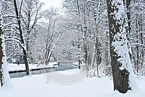 Snowy winter fairytale forest landscape