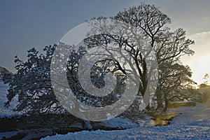 Nevado sobre el traducir en, inglaterra reino unido 