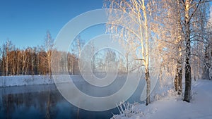 Snowy winter forest with shrubs and birch trees on the banks of the river with fog, Russia, the Urals, January