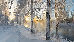 Snowy winter forest with shrubs and birch trees on the banks of the river with fog, Russia, the Urals, January