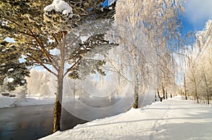 Snowy winter forest with shrubs and birch trees on the banks of the river with fog, Russia, the Urals, January