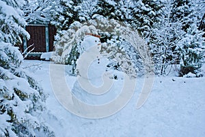 Snowy winter garden view with snowman