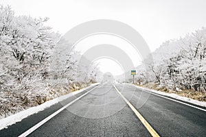 Snowy winter Hallasan mountain 1100 highland in Jeju Island, Korea
