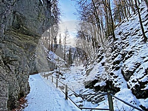 Snowy winter idyll in the canyon of the river Thur die Schlucht des Flusses Thur in the Unterwasser settlement, Switzerland