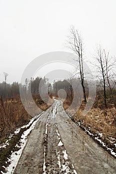 Snowy winter landscape