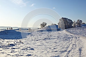 Snowy winter landscape