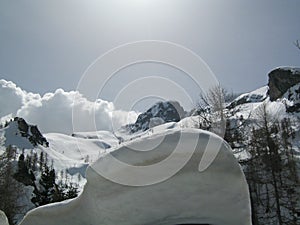 Snowy Winter Landscape