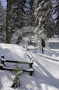 Snowy winter landscape