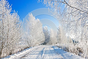 Snowy winter landscape with forest and road
