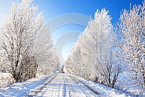 Snowy winter landscape with forest and road