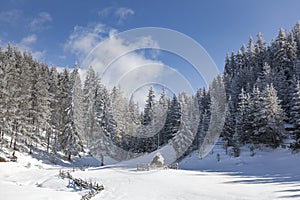 Snowy Winter Landscape With Haystack