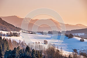 Snowy winter landscape with mountain range in the background