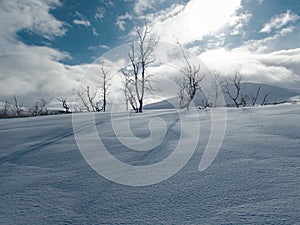 Snowy winter landscape of Sarek national park in swedish lappland