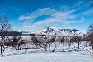 Snowy winter landscape of Sarek national park in swedish lappland