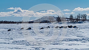 Snowy winter landscape of Sarek national park in swedish lappland