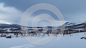 Snowy winter landscape of Sarek national park in swedish lappland