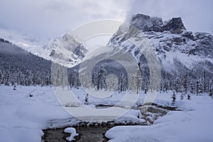 Bow Valley winter Scene photo