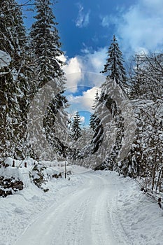 Snowy winter landscape in Slovakia. Winter in mountain