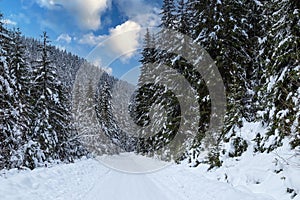 Snowy winter landscape in Slovakia. Winter in mountain