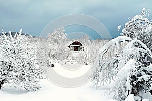 Snowy winter landscape with snow, trees and small village house