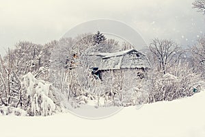 Snowy winter landscape with snow, trees and village house