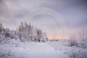 Snowy winter landscape on sunset