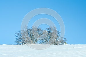 Snowy winter landscape with trees