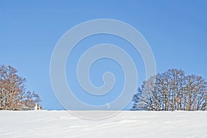 Snowy winter landscape with trees on a clear day