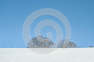 Snowy winter landscape with trees on a clear day