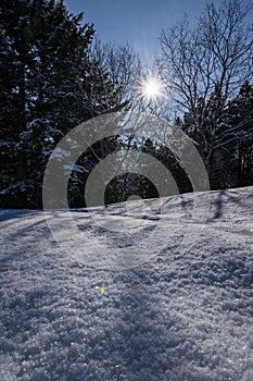 Snowy winter landscape with trees and sun