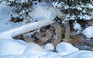 Snowy winter landscape with a wild stream