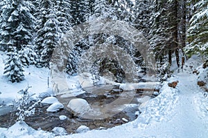 Snowy winter landscape with a wild stream