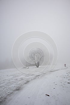 Snowy winter in the mountains