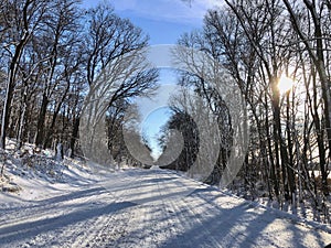 Snowy Winter Road