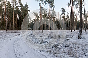 snowy winter road deep in the forest