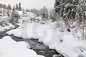 Snowy winter scene along the Frying Pan River in Colorado