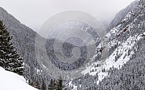 Snowy winter scene in mountains near Basalt and Aspen Colorado
