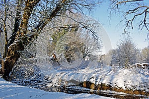 A snowy winter scene by a river