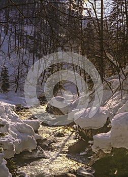 Snowy, Winter Scene of a Small Stream near Partnachklamm Gorge, Germany