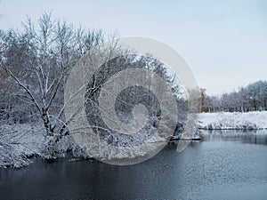 Snowy winter trees along the bank of the river in the thin winter cold fog at the sunset - winter picturesque landscape. Cold