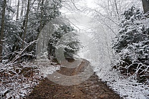 snowy winter view of Blue Ridge Mountains in Asheville, North Carolina. Snow in the Appalachian Mountains.