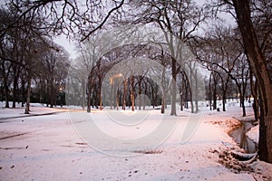 Snowy winter wonderland trees and forest in park with snowcover on ground and creek