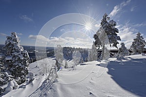 Snowy winterday in BranÃ¤s Sweden