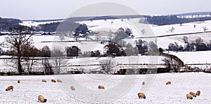 Snowy winters day in rural England