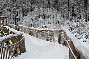Snowy Wooden Bridge in the Heart of a Winter Forest